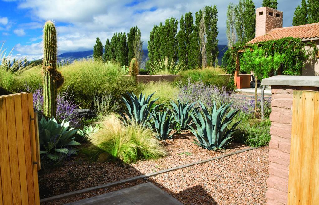 Adobe Charm Villa Cafayate Eksteriør bilde